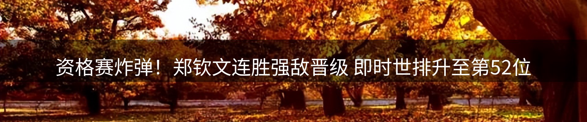 焦点看台